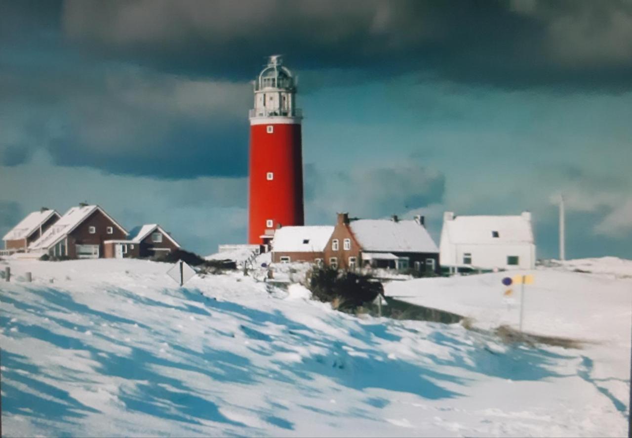 Private Logies Texel Woodart Midden-Eierland Εξωτερικό φωτογραφία