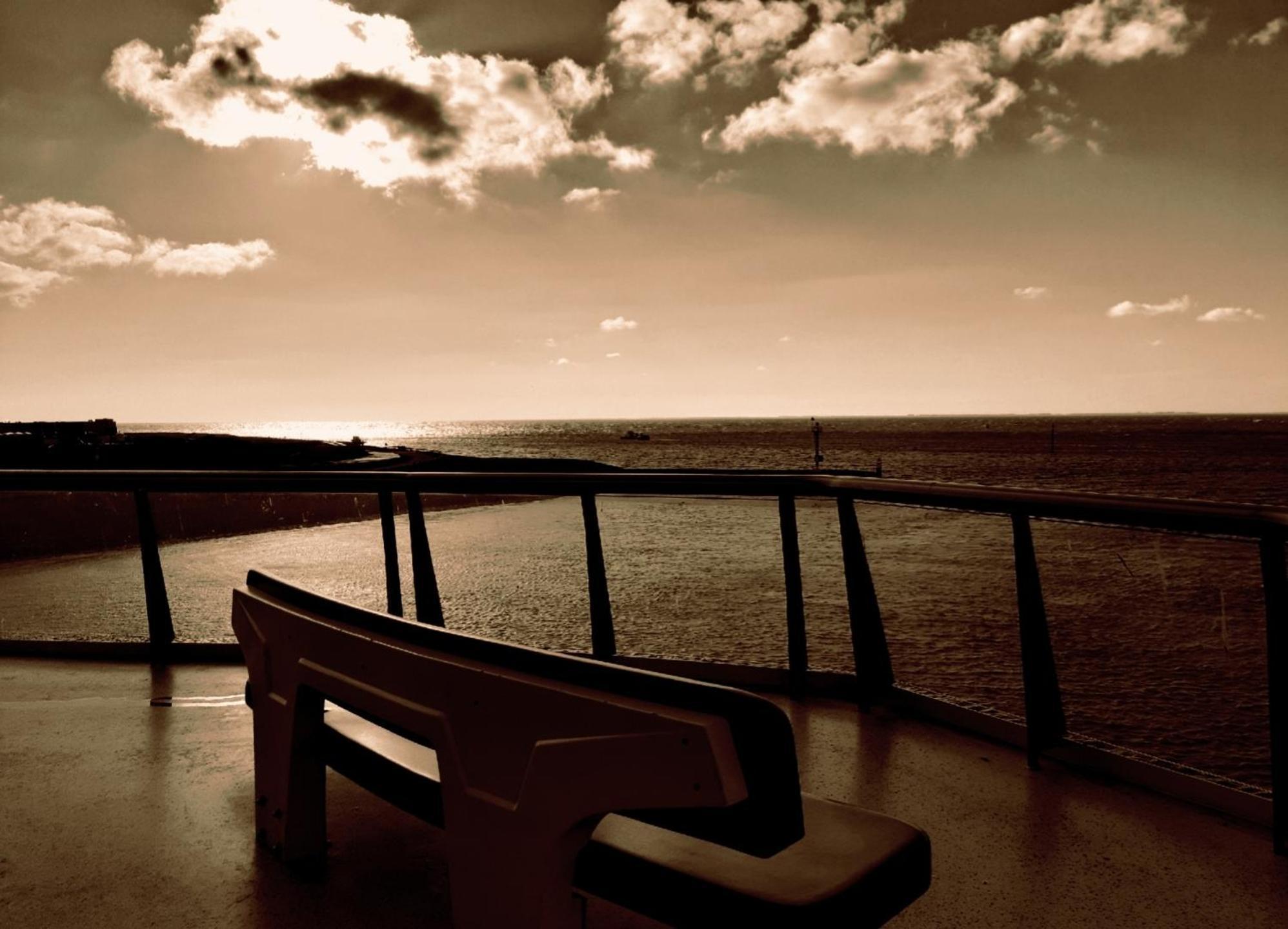 Private Logies Texel Woodart Midden-Eierland Εξωτερικό φωτογραφία